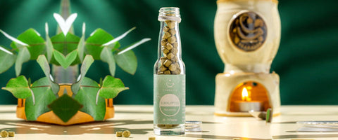 TEABALLS Trinkflaschen und mehr - TEABALLS OFFICIAL | TEABALLS Schweiz | Tee ohne Beutel 